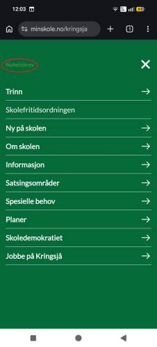 Mobil: Klikk på Nyhetsbrev oppe til venstre